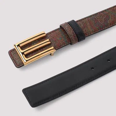 Etro Belt In Brown