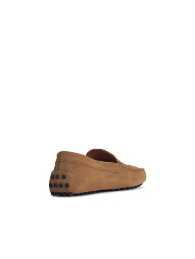 Tod's Beige Suede Loafers In Brown