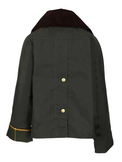 Barbour Catton Wax Aw25 Wax Cot Outw Jackets Green In Green