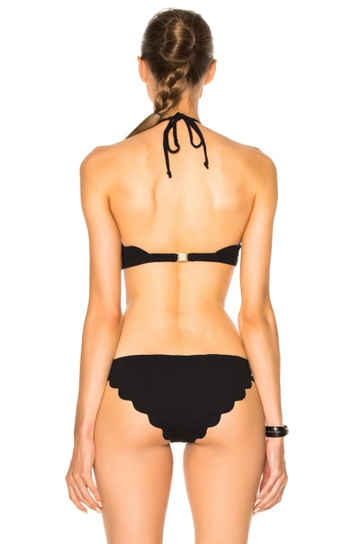 Shop Marysia Mott Bikini Top In Black