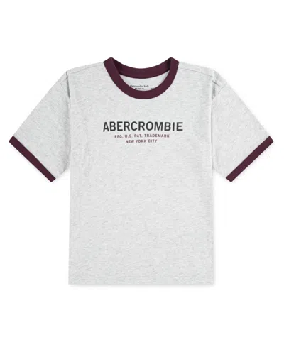 Abercrombie Boys 5-18 Ringer Short Sleeve T-shirt In Gray