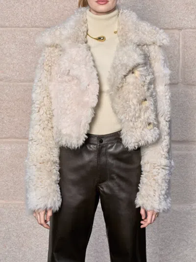 Bigardini Shearling Button-fastening Jacket In White