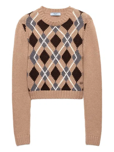 Prada Crew Neck Sweater In Brown