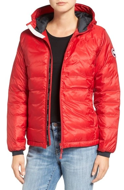 Gucci Camp Down Jacket In Red/ Black