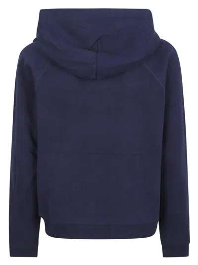 Polo Ralph Lauren Hoodie In Blue