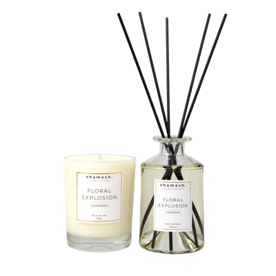Shamash Candle Studio Neutrals Floral Explosion Bold Collection Candle & Reed Diffuser In Neutral