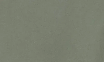 Union Clearwater Stretch Cotton Poplin Button-up Shirt In Green