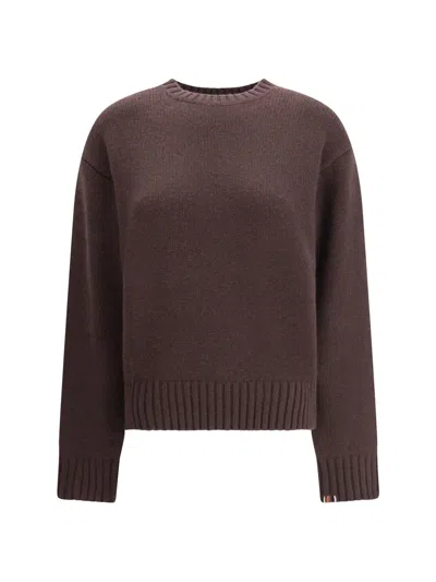 Extreme Cashmere Knitwear In Brown