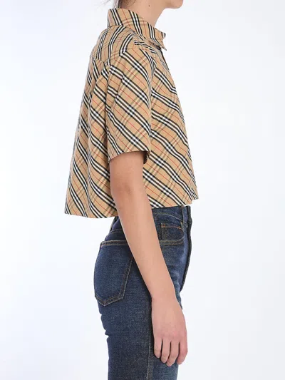 Burberry Vintage Check Cropped Shirt In Multi