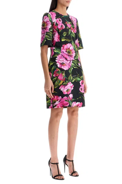 Dolce & Gabbana Embroidered Stretch Cotton Dress In Multi