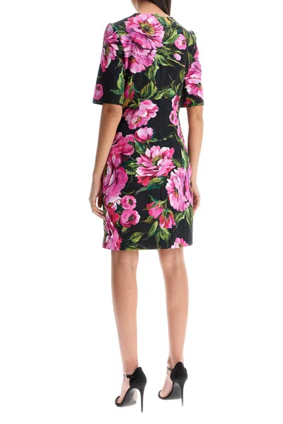 Dolce & Gabbana Embroidered Stretch Cotton Dress In Multi