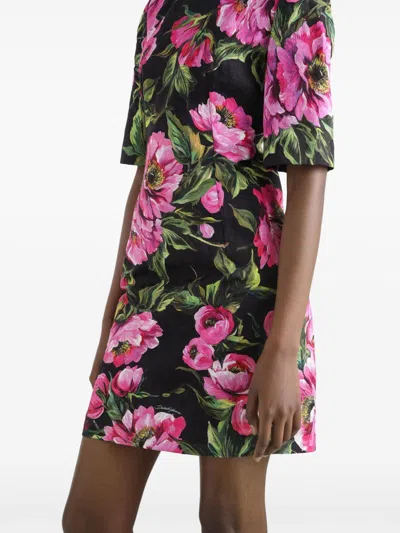 Dolce & Gabbana Embroidered Stretch Cotton Dress In Multi