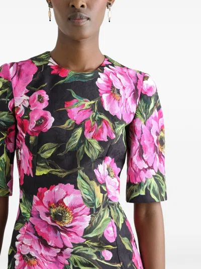 Dolce & Gabbana Embroidered Stretch Cotton Dress In Multi