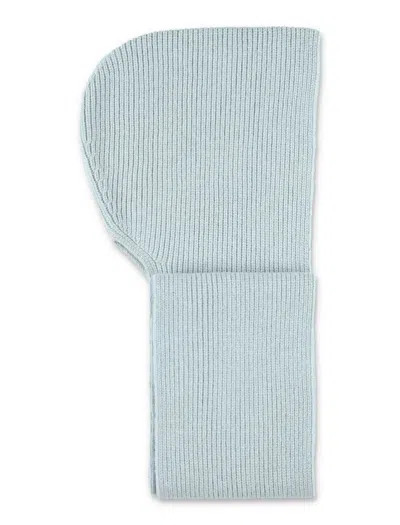 Studio Nicholson Rib Knit Hooded Scarf In Brown