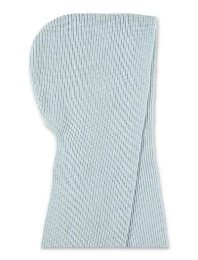 Studio Nicholson Rib Knit Hooded Scarf In Brown