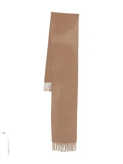Max Mara Fringed Wool Scarf In Brown