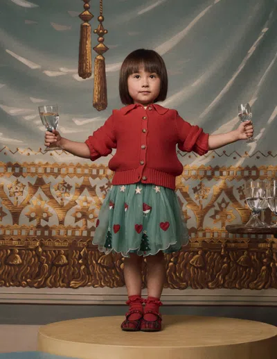 Boden Appliqué Tulle Skirt Eucalyptus Christmas  In Red