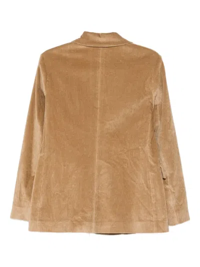 Antonelli Double-breasted Long Sleeve Suit Jacket In Neutral