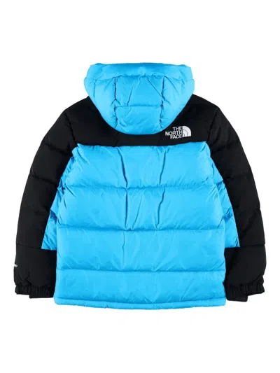 The North Face Hooded Padded Coat In Blue
