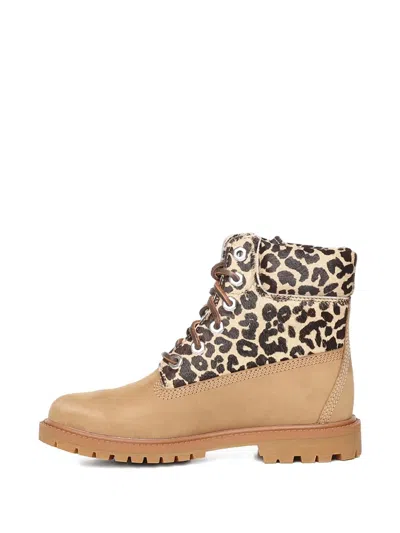 Timberland Premium 6 Inch Lace Up Boot | In Multi
