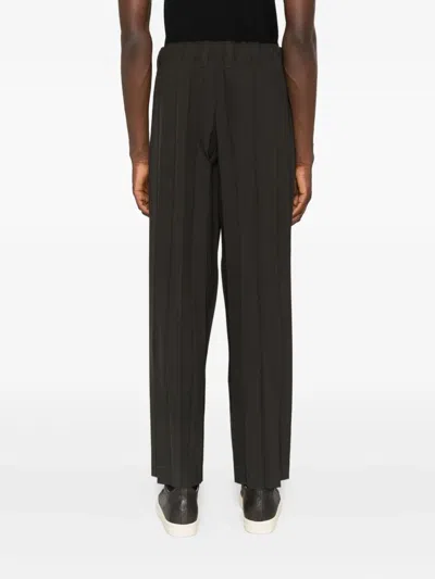 Issey Miyake Pleated Trousers In Brown