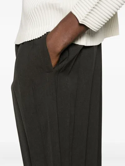 Issey Miyake Pleated Shorts In Brown