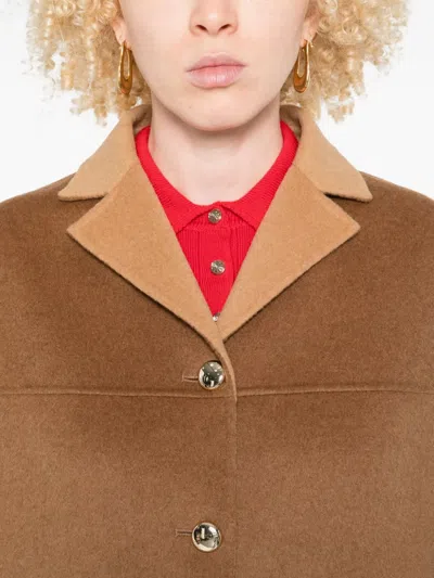 对比领羊毛外套