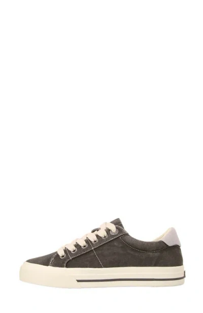Taos Z-soul Platform Sneaker In Multi