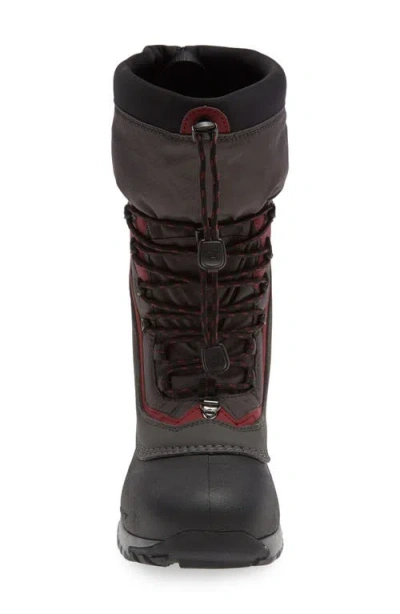 Baffin Flare Waterproof Winter Boot In Multi