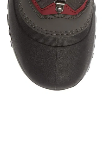 Baffin Flare Waterproof Winter Boot In Multi