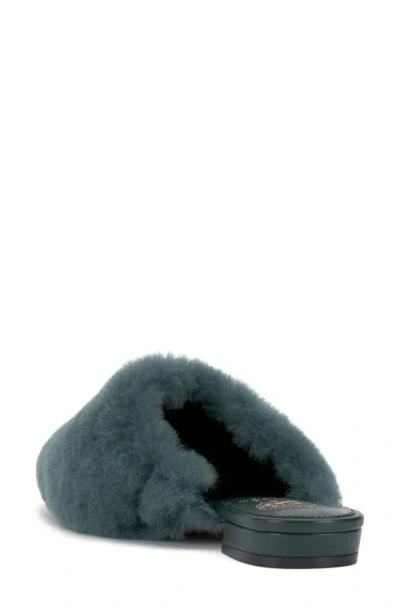 Vince Camuto Samara Mule