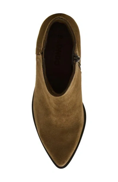 Blondo Brenna Waterproof Pointed Toe Bootie In Multi