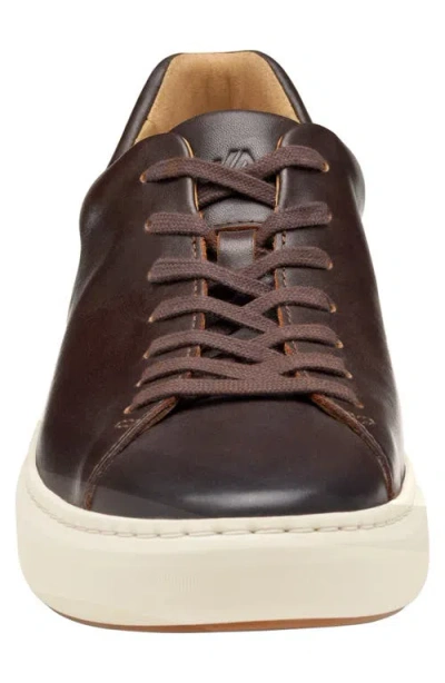 Johnston & Murphy Men's Anders Lace-up Sneakers In Animal Print