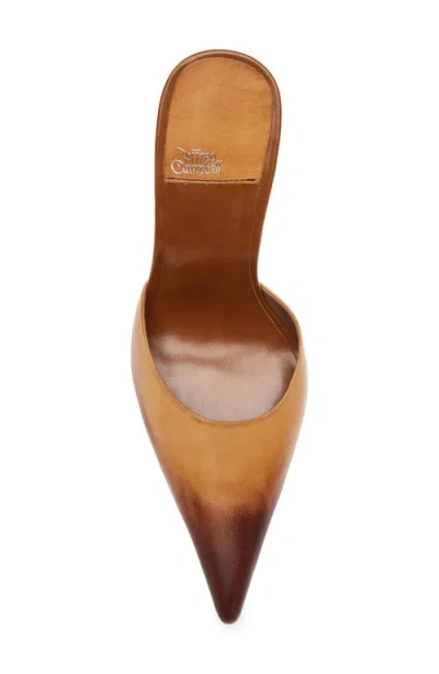 Jeffrey Campbell Robyn Pointed Toe Mule In Brown