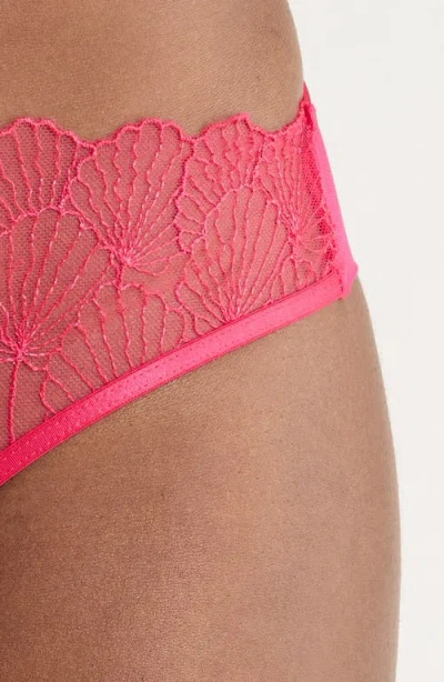 Bluebella Vermont Embroidered Mesh Briefs In Pink