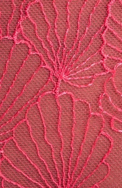 Bluebella Vermont Embroidered Mesh Briefs In Pink