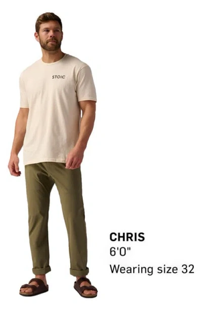Backcountry Wasatch Ripstop Everyday Pant In Green