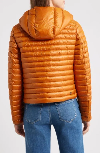 Save The Duck Babe Puffer Jacket In Yellow