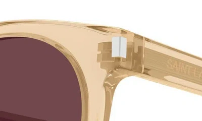 Saint Laurent 49mm Small Round Sunglasses In Yellow