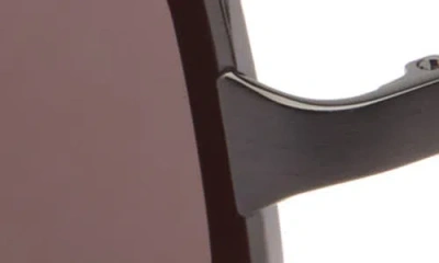 Cartier 58mm Navigator Sunglasses In Brown