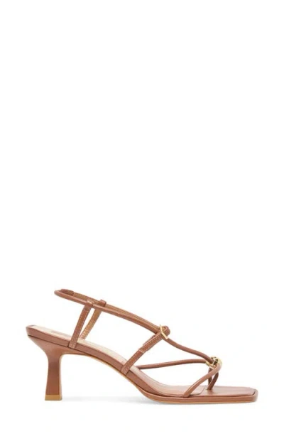 Dolce Vita Women's Mylee Strappy Dress Sandals In Brown