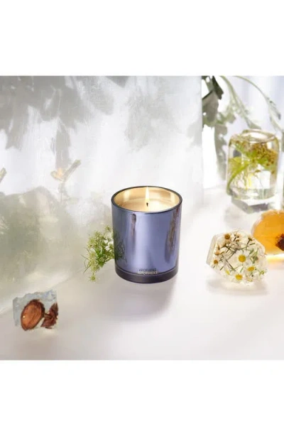 Apotheke Cardamom Chestnut Classic Scented Candle In Blue