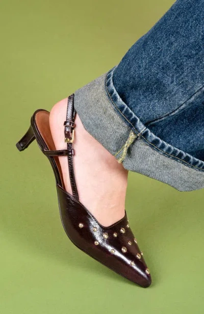 Seychelles Crawford Slingback Pointed Toe Kitten Heel Pump In Brown