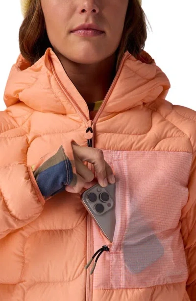 Backcountry Waas Allied Down Hooded Jacket In Orange