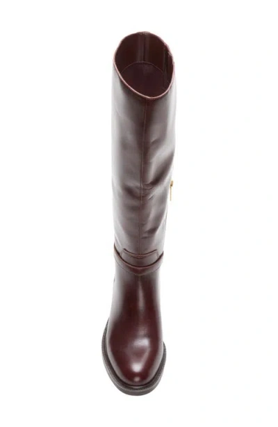Vince Camuto Adria Extra Wide Calf Knee High Boot In Brown