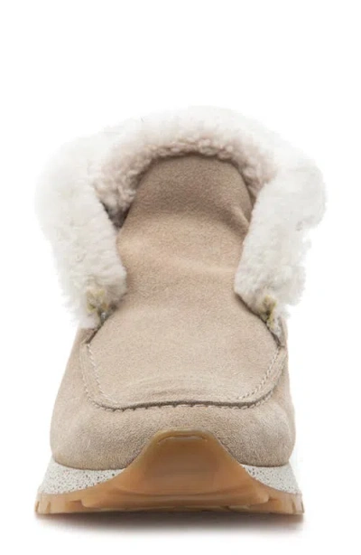 275 Central Quinn Genuine Shearling Lined Sneaker Boot In Neutral