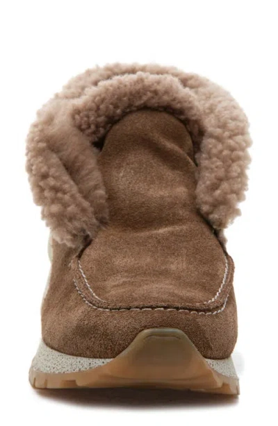 275 Central Quinn Genuine Shearling Lined Sneaker Boot In Brown
