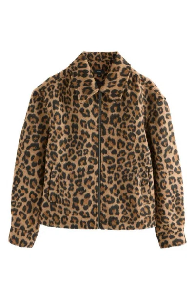 Next Leopard Print Jacket In Brown