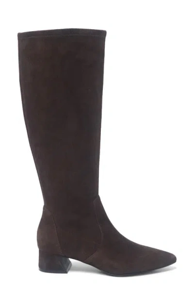 Gentle Souls Women's Gallway Pointy Toe Stretch Tall Boots In Brown