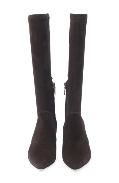 Gentle Souls Women's Gallway Pointy Toe Stretch Tall Boots In Brown